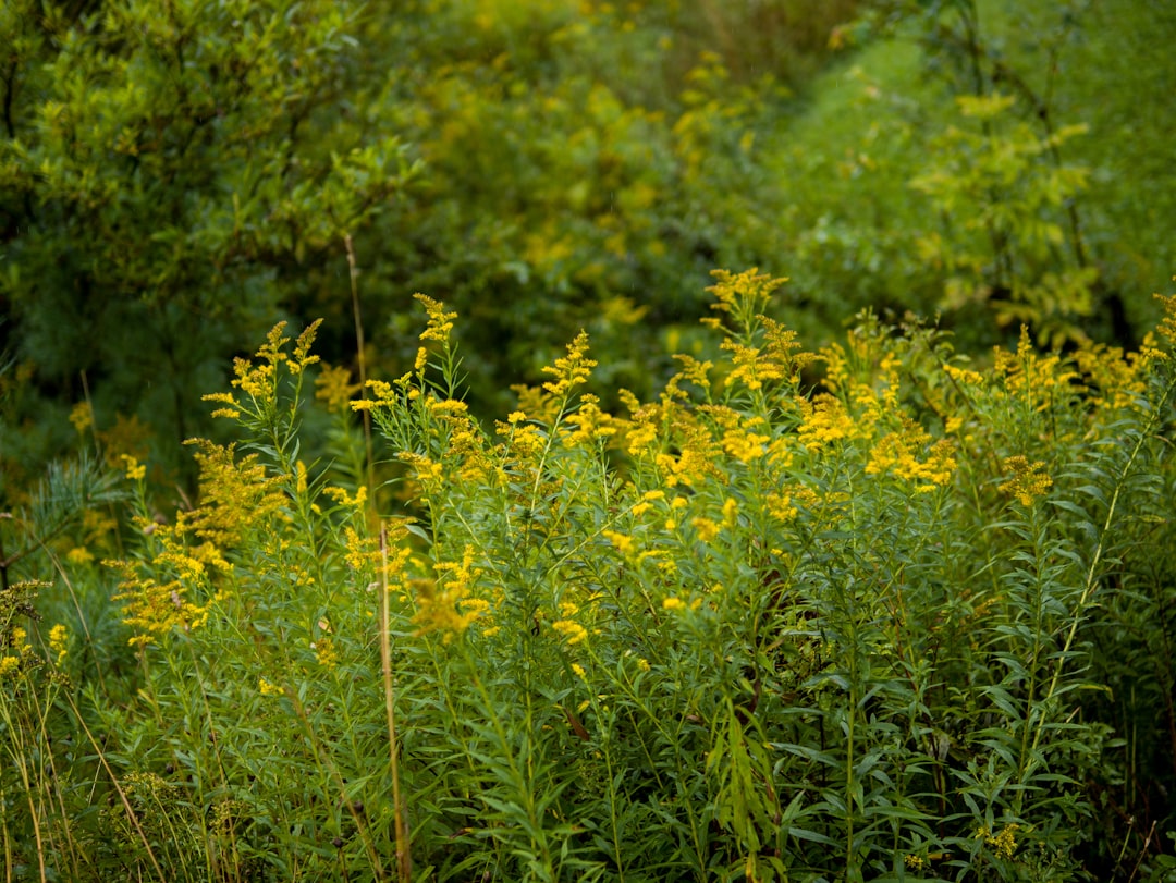 <a href="https://alpinehaven.neighborhood.online/hoa/documents">Document Library</a> 7b3568bb-05b0-4c18-ab4b-ff5c48077d37.jpg